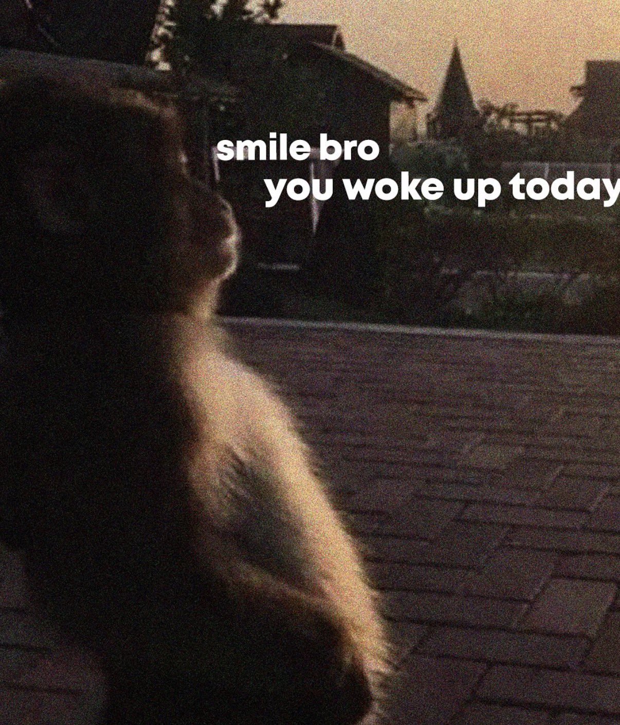 Gallery image 3 of 10