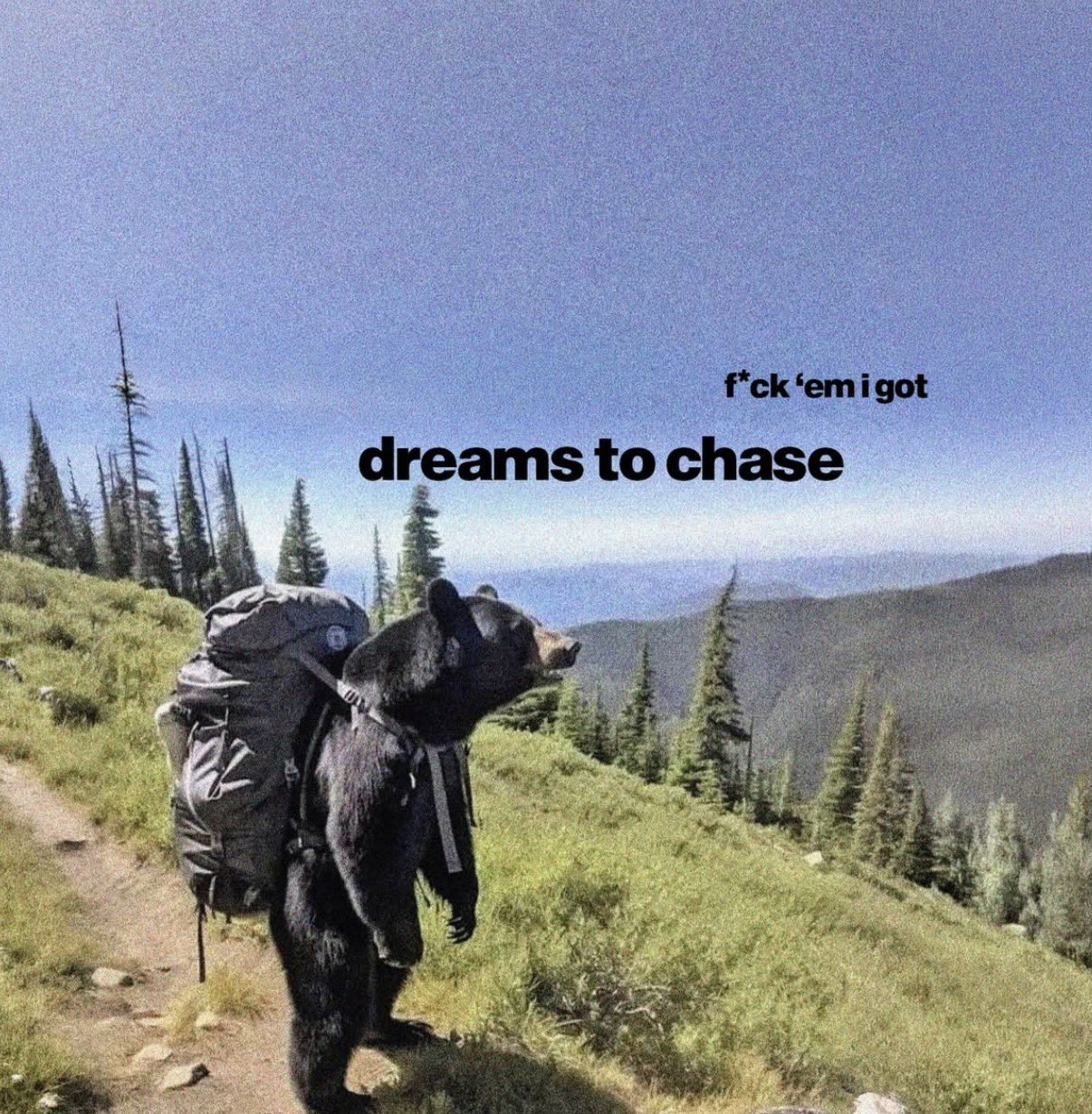 Gallery image 4 of 10