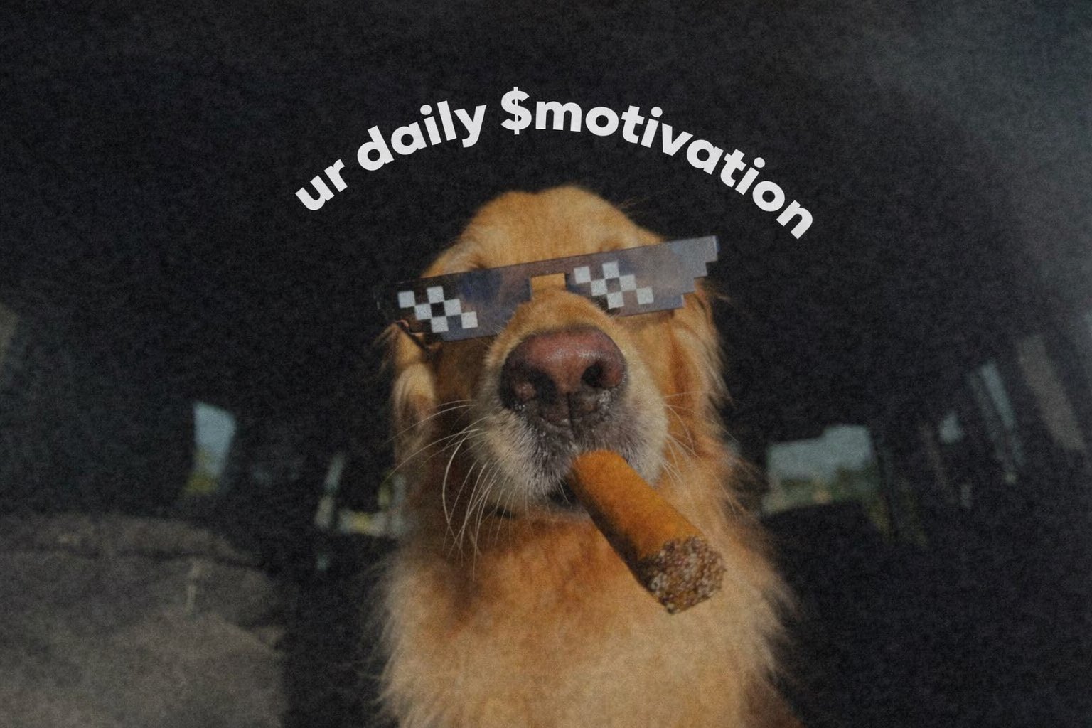 Gallery image 7 of 10